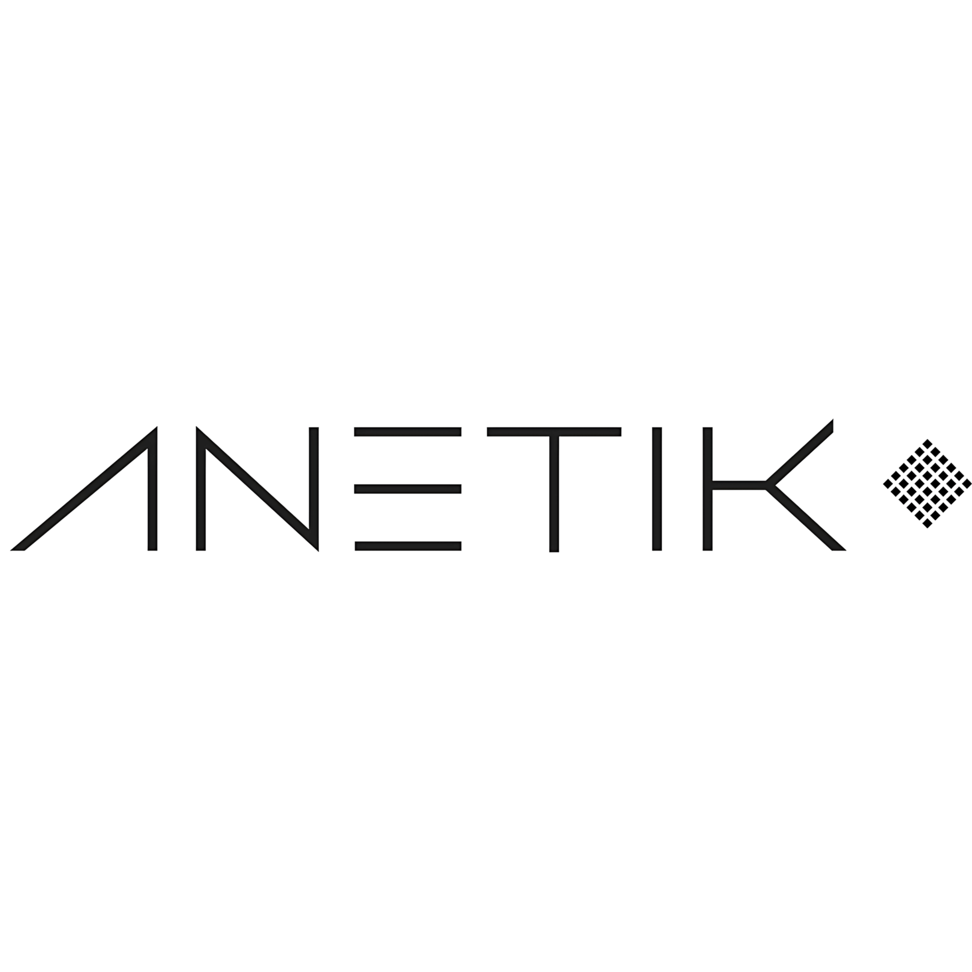 Anetik brand logo