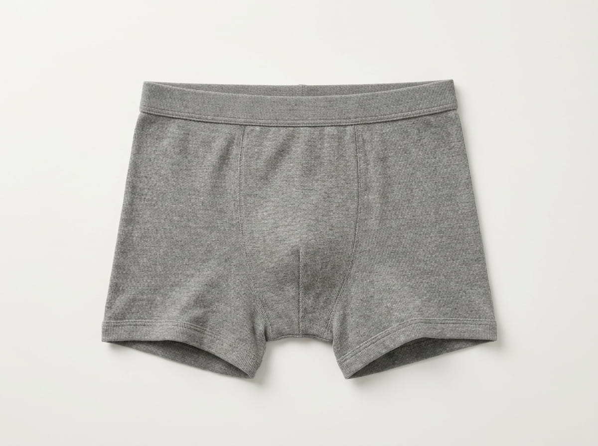 Briefs anatomy features