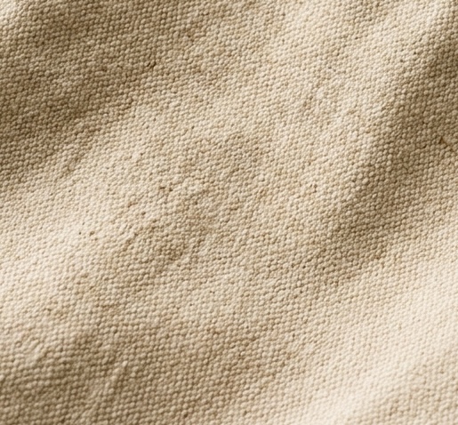 Cotton-Canvas Lifestyle Daypack material texture