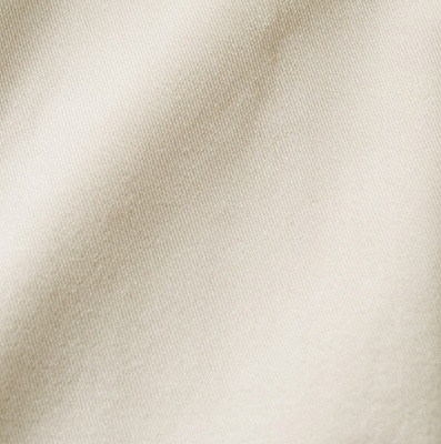 Premium Cotton-Stretch Sport-Shirt Twill material texture