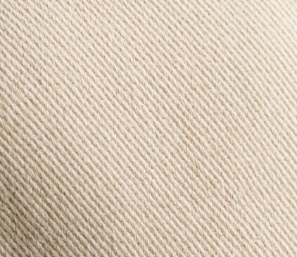 Heritage Cotton Twill material texture