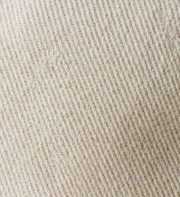 Heritage Cotton Twill material texture